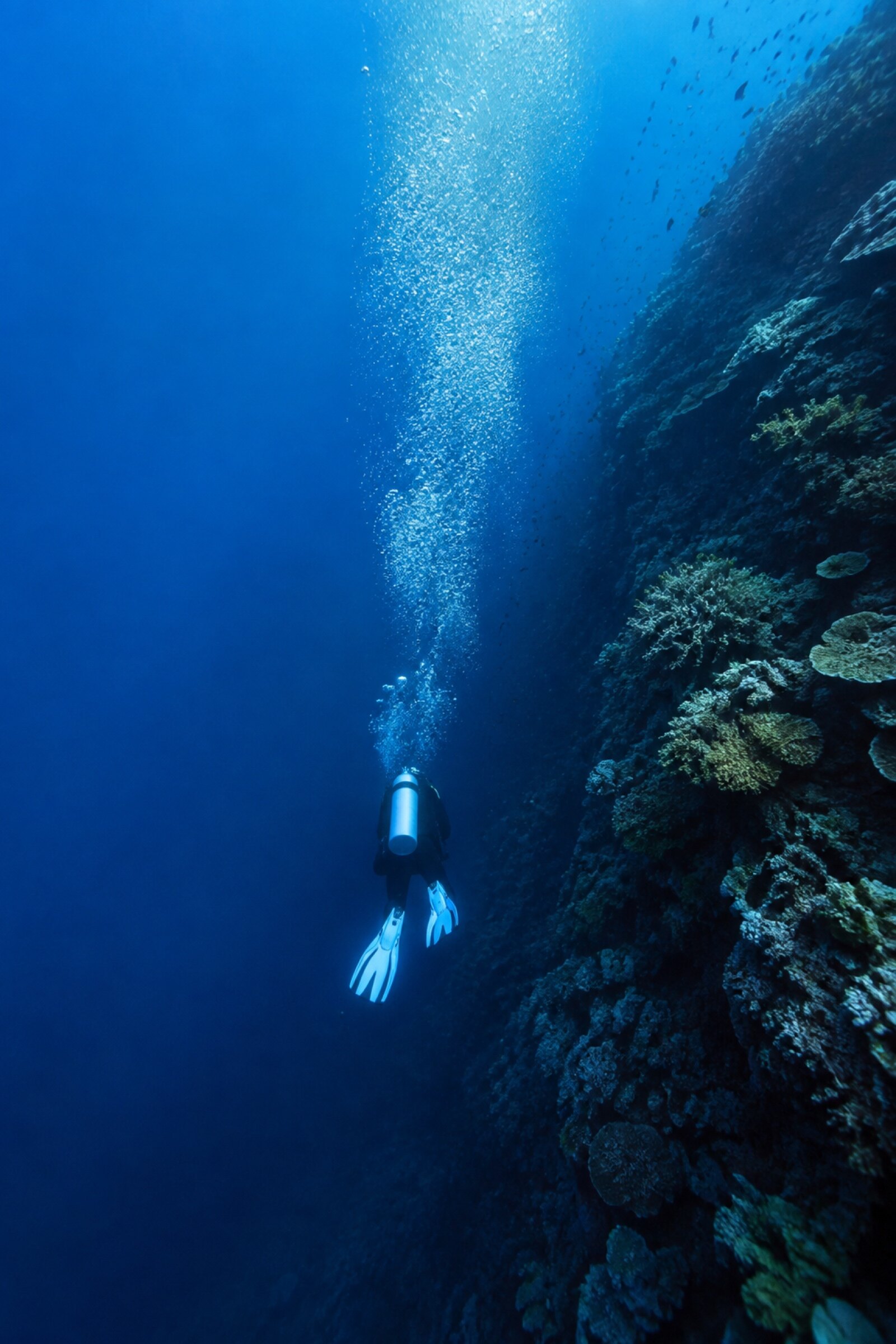 Plongeur au-dessus d’un récif de Nosy Be